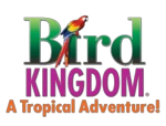 Bird Kingdom