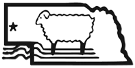 Brown Sheep