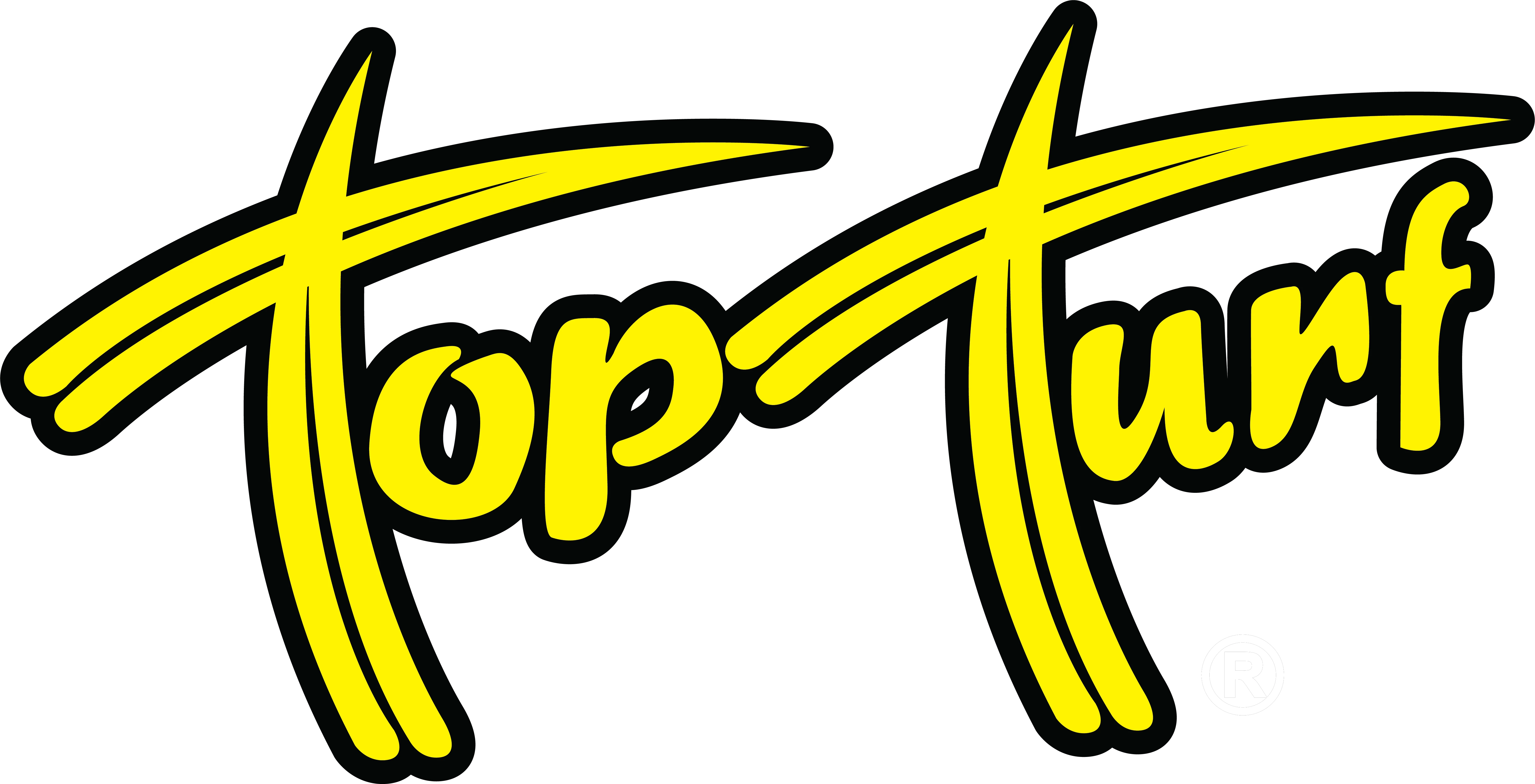 Top Turf