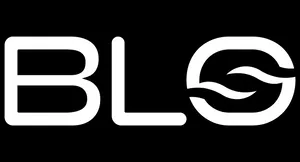 Blo Car Dryer