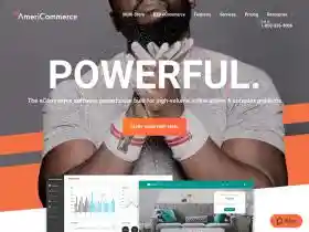 AmeriCommerce