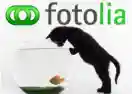 Fotolia